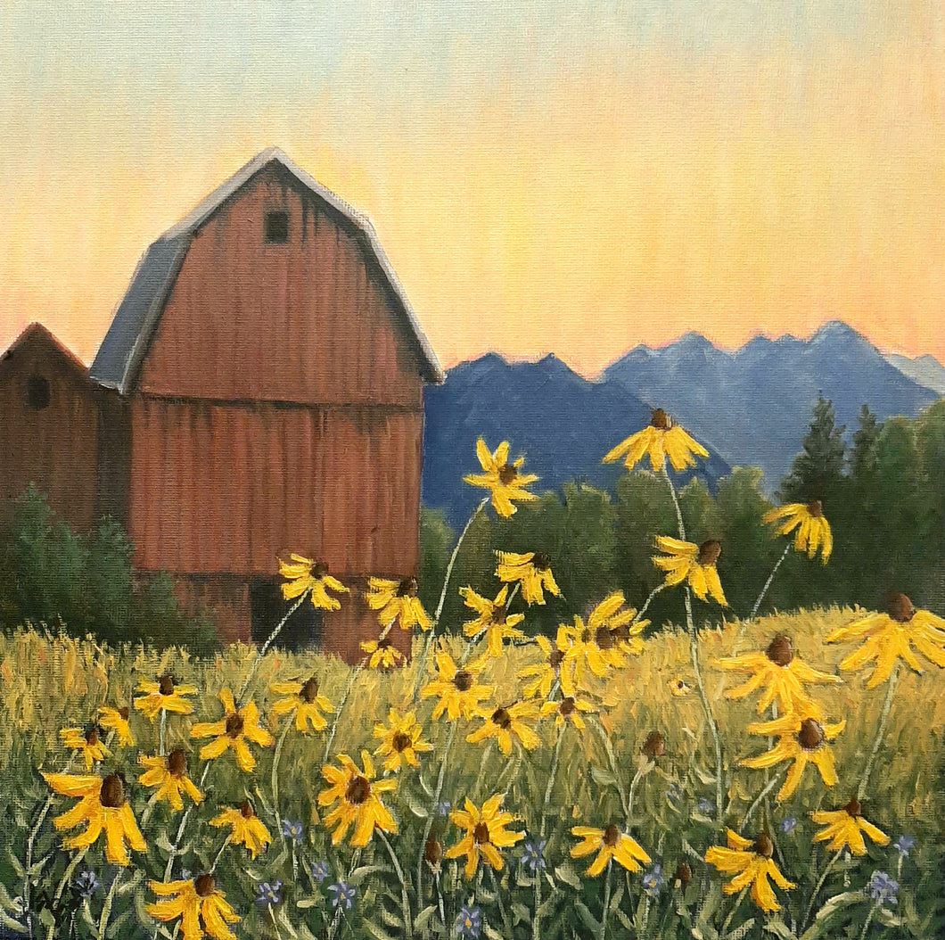 Black Eyed Susans  On The Western Slope