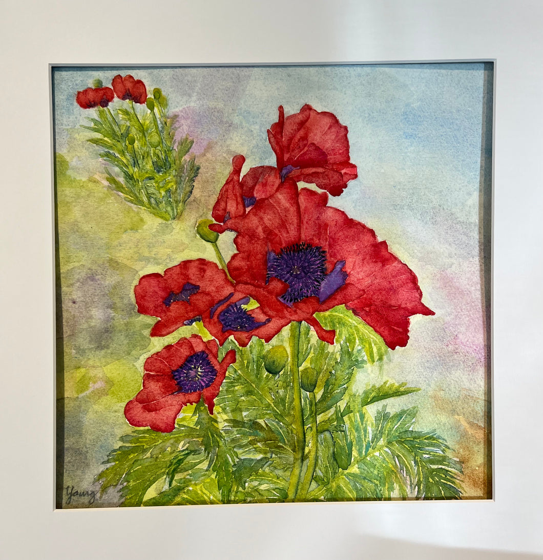 Imagination (Red Poppies)