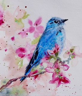 Bluebird And Blossoms